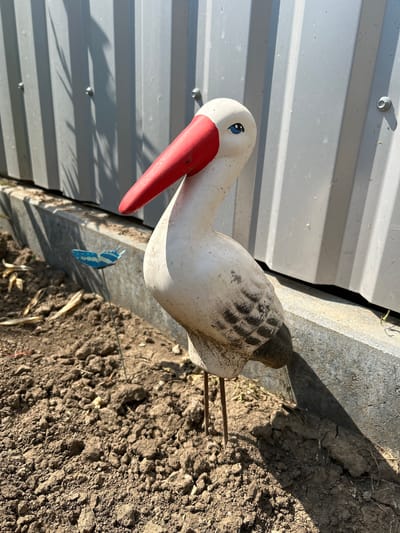 This is a photograph of a stork figurine placed outdoors. The figurine is made of a white material with a red beak and blue eyes. It has a patterned design on its back, resembling feathers. The stork is positioned on the ground next to a gray corrugated metal structure, possibly a shed or fence. A small blue butterfly decoration is attached to the stork's body. The ground is covered in dry soil and some dried plant matter. Sunlight is casting shadows on the scene, indicating it is daytime, likely sunny. The photograph is taken from a slightly elevated angle, looking down on the figurine. There is no visible text in the image. The setting suggests a garden or yard area.