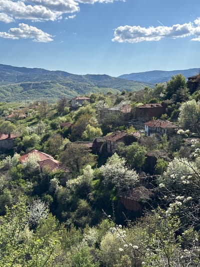 The image depicts a view of Tsarvishte, Bulgaria. Houses with red tiled roofs are nestled amongst dense green trees and flowering white blossom trees. A mountain range stretches in the background. The sky is blue with elongated, vertical white clouds. The image orientation is sideways.