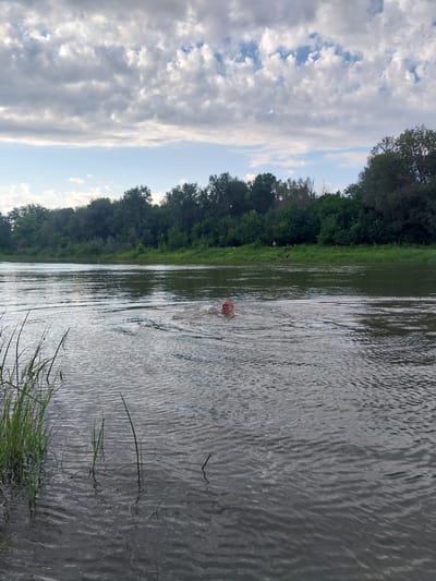 A middle-aged man swims in a wide, calm river. His head and shoulders are visible above the water, and he is creating small ripples as he moves. The riverbank is lined with dense green trees. The sky is overcast with scattered clouds. The location is the Samara River in the city of Chkalov, Russia.
