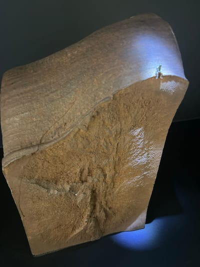 The image displays a large, irregularly fractured geological specimen, presented within an exhibit in Galatina, Italy. The specimen, predominantly brown, features a rough, granular primary surface with a distinct fracture pattern, while an upper segment exhibits a smoother, linearly striated texture. A concentrated blue-white light source illuminates the upper edge, highlighting a miniature, light-colored human-like figure positioned as if ascending the peak. A secondary blue light source is visible beneath the specimen's lower right edge. The object rests on a dark, flat surface against a uniformly dark background.