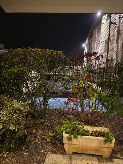 At night, a row of buildings is illuminated by spotlights. In front, a garden bed contains trees with vibrant red and green leaves. A concrete planter sits on the side, partly covered with greenery, adjacent to a paved area. The dark environment emphasizes the lighted portions of the buildings and the colorful foliage.