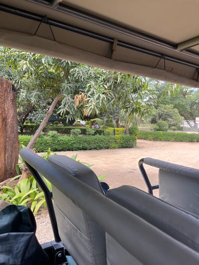 The image shows a view from inside a vehicle, likely a golf cart, overlooking a manicured garden. The foreground includes the vehicle's roof structure with dark metal bars and a canvas top, as well as gray upholstered seating. A tree trunk and foliage are visible on the left side of the frame, while a paved pathway lined with manicured hedges and various shrubs is seen in the mid-ground. The background features more trees and a glimpse of a white, fenced structure. The scene suggests a well-maintained park or garden setting. While the image strongly suggests a location in Livingstone, Zambia, the precise location cannot be determined definitively without further information or context.