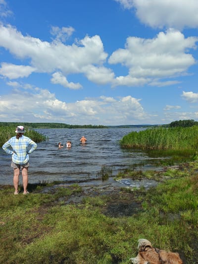 The image depicts a scenic lakefront in Sarafanovo, Russia, on a bright, sunny day with scattered white clouds. In the foreground, a person wearing a plaid shirt and patterned shorts stands with their hands on their hips, facing the lake. Further out in the water, three individuals are visible swimming. Across the lake, a dense line of green reeds grows along the shoreline, and a forest stretches across the horizon under a vast blue sky. In the lower right corner of the image, a dog lies on the grassy bank, facing away from the viewer. The water is rippled, indicating a gentle breeze.