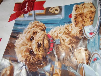 The image depicts a close-up of a paint-by-numbers kit featuring a fluffy, light brown dog. The dog is wearing a red collar with a light blue tag. Behind the dog, there is a light blue background with horizontal white lines. To the right of the dog, part of a pastry or cake is visible, served on a white plate with red embellishments. In the upper left corner, a red ribbon is tied into a bow, with a maroon seal attached that has the word "ideyka" written on it in white cursive. The scene is a still life, likely part of a craft or hobby product. There is no discernible location in the city of Okhtyrka, Ukraine.