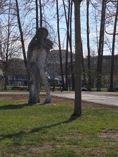 The image depicts an outdoor scene in Zweibrücken, Germany, likely within a public park or green space. The central subject is a large, grey, textured sculpture depicting two intertwined human-like figures. One figure faces away from the viewer, with its back partially visible, and its arms raised to its head, obscuring its face with what appears to be long, textured hair. The lower torso and legs of both figures are visible, rooted to the ground.

The sculpture is situated on a patch of green grass with visible patches of bare earth. Several thin-trunked deciduous trees, largely bare of leaves, are scattered throughout the scene, forming a vertical backdrop. A light-colored paved pathway runs diagonally from the mid-right towards the background, bordering the grassy area.

In the mid-ground, a dark wooden park bench with metal supports is visible to the right of the sculpture, positioned beside the pathway. Further in the background, behind the trees, several buildings with pitched roofs and light-colored facades are discernible, suggesting urban or suburban development. The sky is clear and light blue. The scene is illuminated by bright natural light, casting distinct shadows from the trees and the sculpture onto the grass and pathway, indicating a sunny day. No human subjects are actively present in the scene.