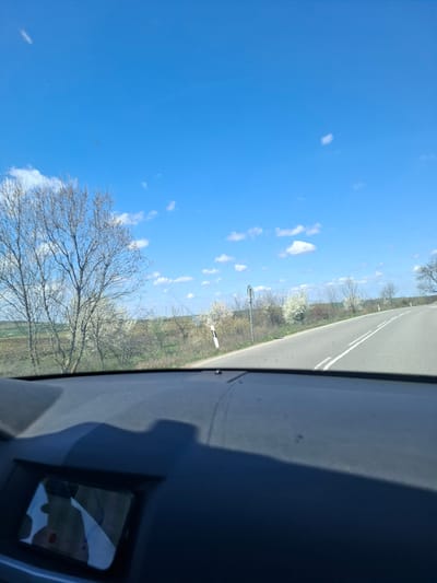 The view is from inside a vehicle, looking out towards a clear blue sky with scattered white clouds and a road. The road has a white line divider and is bordered by trees, some with white blossoms. A lamppost is visible along the roadside. The interior of the vehicle, including part of the dashboard and a rear-view mirror, is in the foreground. The location is presumed to be near Studeno Buche, Bulgaria, based on the metadata. No people are visible.