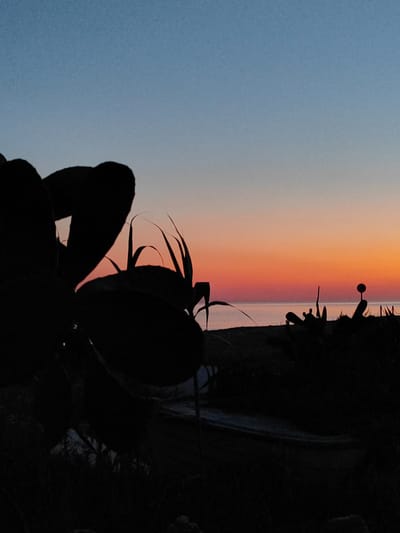 A silhouette of prickly pear cactus pads and blades of grass are in the foreground. They are silhouetted against a twilight sky. The sky transitions from a pale blue at the top to a gradient of orange and pink near the horizon. The ocean is visible as a dark band beneath the colorful sky. In the middle ground, there are more dark silhouettes of vegetation and what appears to be a small, spherical object on a pole, possibly a marker or light. The scene is set in the vicinity of Urbanització Platja De L'almadrava, Spain.