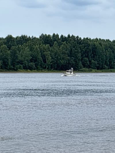 A white motorboat travels across a body of water, leaving a wake. A dense line of dark green trees forms the background, with a slightly overcast sky above. The boat appears to be moving from left to right.