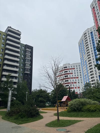 The image depicts a residential area in Ligachevo, Russia, under an overcast sky. In the foreground, a paved walkway curves through a grassy area with several mature trees and bushes. A small, bare-branched tree stands prominently in the center, its silhouette contrasting with the lush greenery. To the left, a tall, grey pole with lights is visible.
Beyond the park-like setting, a row of modern, multi-story apartment buildings dominates the background. On the left, a green and grey building features prominent balconies with white railings. To the right, two taller, white buildings with colorful accents are visible: one has blue vertical stripes, and another has red horizontal bands. A playground with a small wooden structure and a sandbox is situated between the buildings and the foreground greenery.
The scene appears quiet and devoid of human activity, except for a hint of a person on a bench in the mid-ground to the left. The overall atmosphere is one of urban residential development integrated with green spaces.