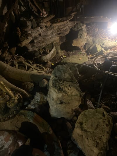 This image shows a scene with rocks, tree roots, and what appears to be part of a statue, likely located in Baan Don Sai, Thailand. A light source illuminates the upper left area, casting shadows throughout. The environment consists of stacked rocks and intertwined tree roots, with a piece of a golden statue visible in the lower right. There are no people visible in the frame.