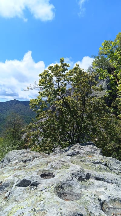 A natural landscape photograph depicting a rocky outcrop, possibly limestone, covered in lichen, with scattered trees and foliage in the foreground. The sky is blue with cumulus clouds. In the distance, forested mountain ranges are visible. The location is likely Sini Vrah, Bulgaria, based on the query, but no man-made structures or details specific to Sini Vrah are evident in the image. The vegetation appears to be temperate broadleaf forest. There are no people depicted.