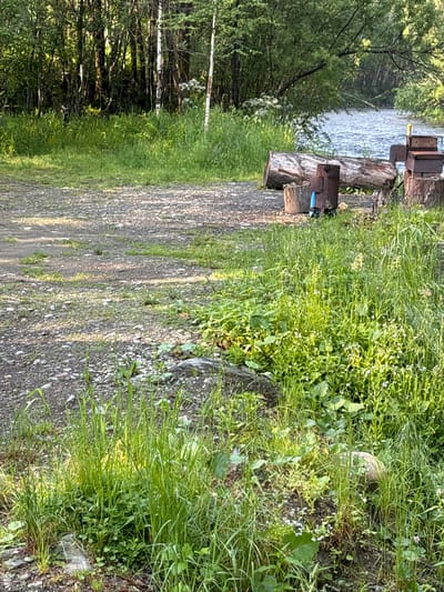 The image depicts a natural outdoor scene, likely a riverbank in Bol'shaya Rechka, Russia, during daylight. The foreground is dominated by a rough, gravelly path interspersed with lush green grass and small wildflowers. To the right, tall grasses obscure much of the ground, with a large, rounded rock visible amongst the vegetation.

In the mid-ground, several weathered logs are scattered on the path. To the right of the logs, three rustic, dark metal structures, possibly part of a rudimentary outdoor cooking setup or a bee smoker, are stacked on wooden stumps. A blue object, possibly a container or tool, rests near the base of one of these structures.

The background features a gently flowing river with visible ripples, its surface reflecting the ambient light. Beyond the river, dense green foliage and trees create a natural boundary, suggesting a wooded environment. The overall impression is one of a secluded, natural setting, possibly a campsite or a picnic area adjacent to the river. There are no people visible in the image.