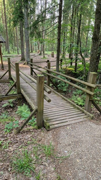 The image shows a wooden pedestrian bridge in a forest setting, located in Daudas, Latvia. The bridge is constructed of rough-hewn wooden planks for the walkway and railings, supported by sturdy wooden posts. It appears to be an outdoor recreational area, possibly a park or nature trail, with trees and undergrowth surrounding it. The ground is covered with fallen leaves and gravel. The lighting suggests it is daytime. There are no people visible in the image. The scene is natural and appears to be maintained for public access.