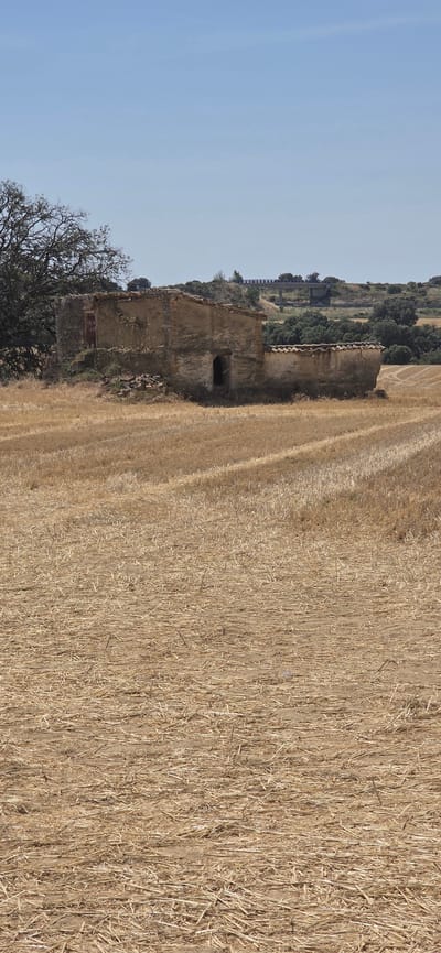 This image depicts an abandoned stone building set within a dry, harvested field under a clear, blue sky, suggesting a warm, sunny day. The building, appearing to be an old farmhouse or dwelling, is made of weathered stone with a dilapidated tiled roof. A dark, empty doorway is visible on the side facing the viewer, and another partially obscured doorway or opening is present on the side closer to the foreground. Piles of what appear to be firewood or debris are stacked near the base of the structure.

To the left of the building, a mature tree with sparse foliage stands, its branches stark against the sky. Beyond the building and the tree, the landscape rises into a gently sloped hill covered in greenery and trees. Further in the distance, a long, elevated structure, possibly a bridge or aqueduct, is visible, blending with the natural contours of the terrain. The foreground and middle ground are dominated by a field of dried straw or stubble, indicating that a crop has recently been harvested. The overall scene evokes a sense of rural solitude and the passage of time. The location is identified as Angüés, Spain. No text is visible in the image.