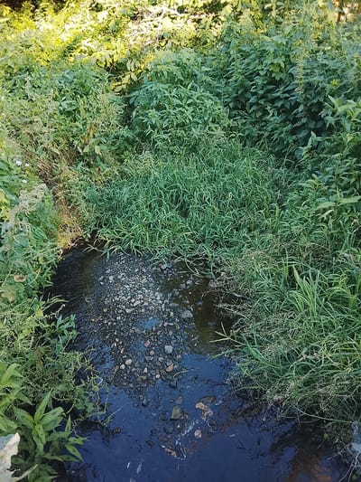 This media file shows a close-up, high-angle view of a small, narrow stream flowing through dense green foliage. The stream bed is partially covered with dark, wet gravel and stones, with some areas of dark water visible. Lush green plants, including tall grasses and leafy bushes, surround the stream on both sides. Some of the plants are illuminated by sunlight, creating a dappled effect, while other areas are in shadow. The overall impression is one of a natural, overgrown setting, possibly a forest or a rural area in Bulgaria, as suggested by the location context. There are no people or specific objects visible, and no text. The lighting suggests it could be daytime, with the sun filtering through the leaves. The scene is peaceful and evokes a sense of untouched nature.