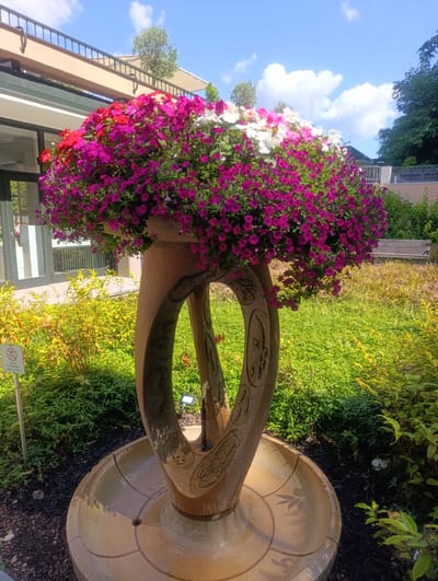 This is a medium shot photograph of a decorative fountain with abundant flowers, located in Luhačovice, Czechia. The fountain itself is made of a light brown, textured material and features an oval opening with carved embellishments. It is filled with water in its basin. Overflowing from the top of the fountain is a lush arrangement of colorful flowers, predominantly in shades of pink and magenta, with accents of white and red. The fountain is set in a garden environment with green grass and various types of vegetation. In the background, there is a building with a covered walkway, a railing, trees, and a park bench. A sign with text is visible to the left of the fountain. The sky above is blue with scattered white clouds.