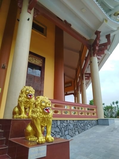 The photograph captures the entrance of a temple in Phú An, Vietnam. Two golden lion statues stand guard on a red-brown platform with a sign bearing Vietnamese script. Behind the lions, the temple's exterior features mustard-yellow walls, brown window frames, and large, off-white cylindrical columns supporting the temple's roof. The roof is adorned with reddish-brown beams and white roofing. A low wall with a decorative pattern runs along the side of the temple, transitioning to a stone-clad base. The foreground consists of a gray, tiled walkway leading towards the temple entrance, while the background reveals a glimpse of greenery and overcast sky.
