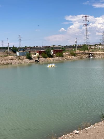 This image depicts a wide, calm body of water, likely a canal or reservoir, under a bright blue sky dotted with fluffy white clouds. The sun appears to be high in the sky, suggesting it is daytime. On the left bank of the water, a rocky, somewhat overgrown embankment is visible. This embankment is lined with various structures including what appear to be residential buildings with red roofs, shipping containers, and dense green foliage. Several large electrical transmission towers with a lattice structure are also prominent in the background, indicating the presence of significant infrastructure. A thin white cable stretches across the water, connected to a small, yellow, paddle-wheel-like device that is partially submerged and creating ripples on the water's surface, suggesting it might be a water aerator or a small boat.

Further along the embankment, more industrial-looking structures and fencing are visible, interspersed with more greenery and rocks. The overall scene suggests an area that is a mix of rural or semi-industrial development alongside a significant water feature. The water itself is a muted greenish-blue, reflecting the sky and the surrounding environment. The right bank of the water is a rougher, sandy terrain with sparse vegetation and scattered white stones. The image is oriented vertically, as if taken from a higher vantage point looking down and across the water. The location is identified as Akbarak, Uzbekistan.