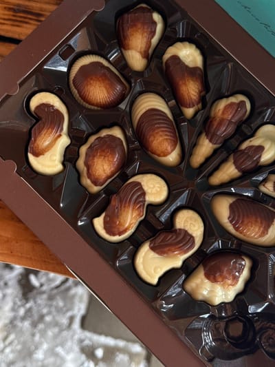 An overhead, slightly angled view captures an open brown cardboard box containing a dark brown plastic insert with twelve individual compartments in the city of Yeghipatrush, Armenia. Eleven compartments hold chocolates shaped as various seashells and marine organisms, each composed of a light-colored base (likely white chocolate) and contrasting dark brown chocolate details. One compartment in the bottom right is empty. The box rests partially on a warm-toned wooden surface in the upper left, while the lower left reveals a blurred, granular, light-colored ground texture, possibly snow or ice, over a dark surface. A small, out-of-focus section of teal packaging with white script is visible in the upper right corner. No individuals or actions are depicted.
