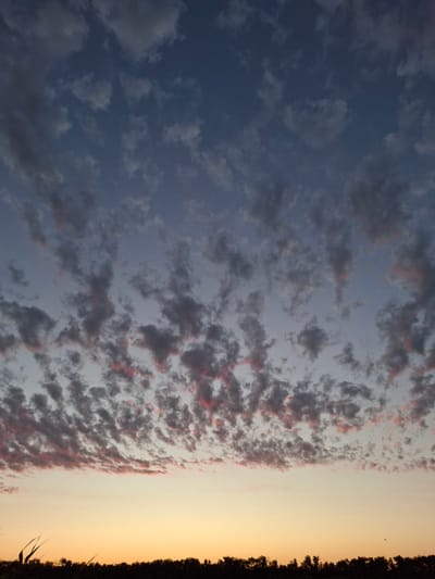 The image depicts a natural scene with a focus on the sky and a distant treeline. The sky is filled with a mix of clouds, ranging from dark gray to lighter shades with hints of pink and red, suggesting either sunrise or sunset. The lower portion of the sky transitions into a warm, soft yellow and orange gradient. A dark, silhouetted treeline runs across the bottom of the frame, with some blades of grass or reeds visible in the foreground on the left. There are no people or specific man-made objects identifiable in the image. The environment appears to be rural or natural, as indicated by the absence of urban structures and the presence of trees and vegetation. The location is identified as Novolokinskaya, Russia.