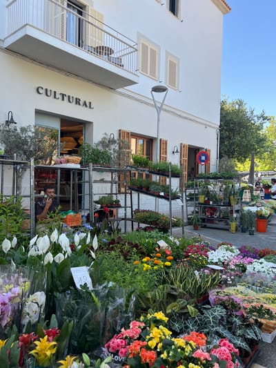 The image depicts a flower market in front of a building with a sign reading "CULTURAL" in Port De Pollença, Spain. Numerous potted plants and bouquets of flowers are displayed on metal racks and on the ground. A man is seated on a stool, looking at his phone, with an orange crate next to him. The building has a balcony with white railings and closed shutters on its windows. A street lamp is visible on the facade. The ground is paved, and trees are visible in the background, along with a blue sky.