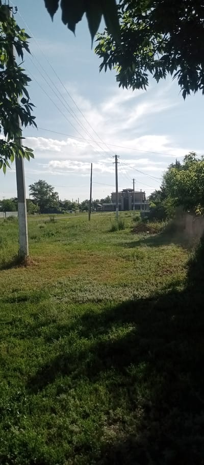 The image depicts a rural landscape scene in Marinovka, Kazakhstan, under a bright, partly cloudy sky suggesting it is daytime. The foreground is dominated by a grassy field with a tall, light-colored utility pole on the left side, partially obscured by foliage from an overhanging tree. Several other utility poles with wires are visible further into the scene, stretching across the sky.

In the mid-ground, a partially constructed building, appearing to be a house or a larger structure with multiple levels and visible concrete walls, stands on the right side of a dirt road. This building is surrounded by greenery, with trees and bushes prevalent throughout the area. Various other smaller structures, possibly houses or outbuildings, are scattered in the distance, indicating a residential or semi-rural area.

The overall atmosphere is one of a quiet, possibly developing, rural community on a clear day. There is no visible text in the image, nor any people or specific events taking place. The scene is characterized by natural elements like grass, trees, and sky, interspersed with man-made structures and utility infrastructure. The lighting suggests a sunny day, likely late morning or afternoon, with shadows cast on the grass.