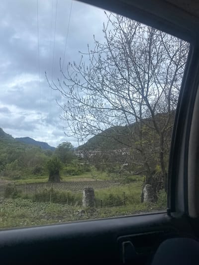 View from inside a vehicle, looking through a window at a rural scene in Grohotno, Bulgaria. A bare tree branch extends across the upper left. Green fields and a mountain range fill the background. An indistinct building is visible on the hillside. Overcast sky. Part of the vehicle's interior is visible at the edges of the frame.