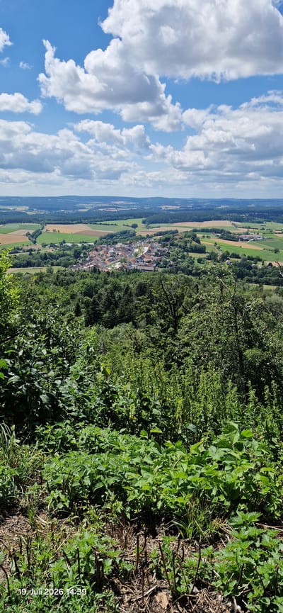 A landscape view from a high vantage point shows a rural village nestled in a valley surrounded by rolling hills and agricultural fields under a cloudy sky. The foreground is dominated by lush green vegetation, including dense bushes and plants. In the mid-ground, the village, identifiable as Neustadt am Kulm, Germany, displays a cluster of buildings with red-tiled roofs. The surrounding landscape features a patchwork of fields in various shades of green and brown, interspersed with dark green forests. The sky above is a bright blue with scattered white and grey clouds, indicative of daytime. A timestamp in the lower-left corner reads "19 Juli 2026 14:39". No people or specific actions are visible in the image.