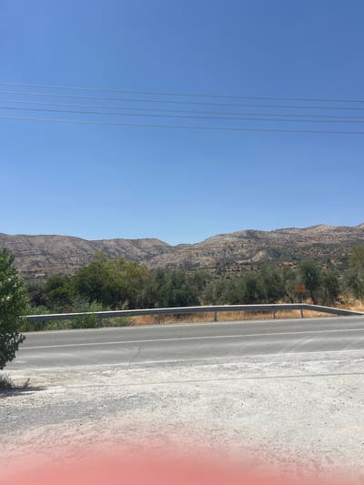 The image depicts a roadside scene in Laneia, Cyprus, under a clear blue sky. A paved road with white lane markings runs horizontally across the mid-ground, bordered by a silver metal guardrail. Beyond the road, a stretch of dry, golden grass leads to a dense line of green trees, predominantly olive trees, which then gives way to a rugged, mountainous landscape. The mountains are characterized by terraced slopes, indicative of agricultural activity, and appear dry and arid. The sky is unobstructed by clouds, and several power lines stretch across the upper portion of the frame. The foreground consists of a gravelly shoulder. A small orange sign with text is visible on the right side of the road, partially obscured by vegetation. There are no people or animals visible in the image. The overall environment suggests a rural, Mediterranean setting.