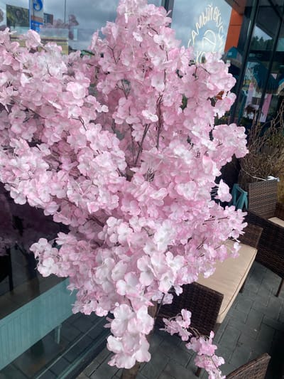 In Pavlovo Podvor'ye, Russia, an artificial flowering tree with pink and white blossoms is prominently displayed outdoors. The tree is positioned near a building with large windows, reflecting the cloudy sky. Wicker outdoor furniture, including chairs with beige cushions, is visible in the background. The ground is paved with dark gray interlocking stones.