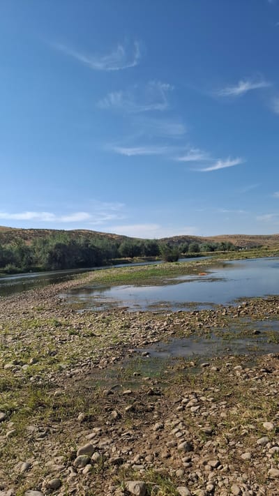This is a vertical, eye-level, full shot of a river landscape under a bright blue sky with sparse white clouds. The foreground is a rocky, dry riverbed with patches of green grass. The river itself is visible, with calm water reflecting the sky and the surrounding landscape. The river curves gently to the left and is bordered by lush green trees and vegetation on the far bank. Beyond the trees, rolling, dry hills rise up to meet the sky. The scene appears to be a natural environment, likely a rural or undeveloped area. Given the location of Боралдай, Kazakhstan, this image depicts a river flowing through a valley with arid hills and vegetation typical of the region. There are no people or animals visible in the frame. The lighting suggests it is daytime, with the sun high in the sky. There is an orange object, possibly trash, floating in the river.