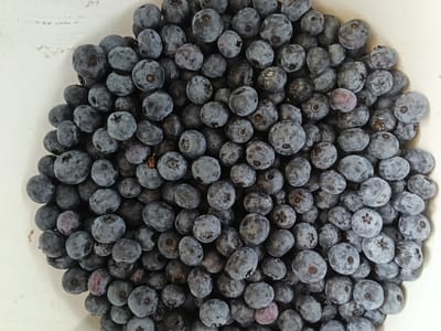 A close-up, overhead shot shows a white bowl filled with fresh blueberries. The berries are a deep blue-purple with a slight powdery bloom. They are densely packed and unevenly distributed throughout the bowl, with some appearing slightly bruised or imperfect. The lighting is soft, highlighting the textured surfaces of the fruit. This image does not depict any specific location in the city of Drahichyn, Belarus, nor does it show any people or actions.
