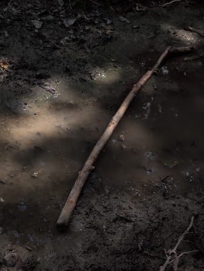 The image shows a close-up, high-angle view of a muddy embankment and shallow water. A single, long, weathered branch lies diagonally across the scene, extending from the lower left to the upper right. The mud is dark and appears wet, with scattered leaves and debris. The water is murky and reflects light in patches, creating a dappled effect. The environment suggests a natural, possibly woodland or riverside setting. There are no people visible in the image, nor any discernible actions or interactions taking place. The location in Dzhankhot, Russia, is noted, but there are no specific visual cues within the image to confirm this precise geographical setting. The overall impression is one of natural decay and the interplay of light and shadow on a wet, earthy surface.