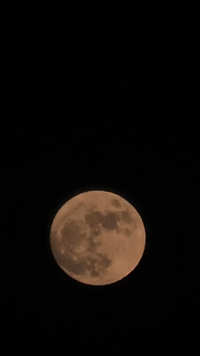 The image shows a full moon against a black sky. The moon is slightly orange in color and displays surface details such as craters and maria. There is no indication of the location of Rogachevo, Bulgaria, in the image. No people or interactions are visible.