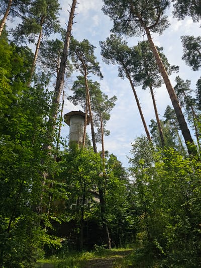The image depicts a water tower surrounded by a dense forest, under a partly cloudy sky. The water tower is a cylindrical concrete structure with a conical roof, accessible by a metal ladder. It is partially obscured by the surrounding trees and foliage. The forest consists of tall pine trees and various deciduous trees and shrubs, with sunlight filtering through the canopy, creating dappled light on the forest floor. A path is visible leading into the woods. The scene appears to be in a rural or semi-rural area. The specific location of Ulitkino, Russia is mentioned in the prompt, but the image itself does not contain any explicit visual cues to confirm this. There are no people or animals visible in the image. The overall impression is one of nature reclaiming a man-made structure.