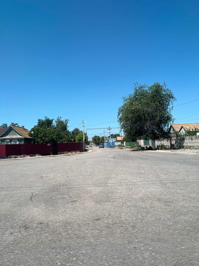 The image depicts a street scene in the village of Ilyinka, Russia, under a clear blue sky. The perspective is from a moving vehicle on an asphalt road. On the left side of the road, a traditional wooden house with a brown roof and white-trimmed windows is visible behind a dark red metal fence. Further down the street, trees line the property. On the right side of the road, a large, leafy green tree stands prominently. Beyond the tree, several houses with orange and light blue roofs are visible, some with concrete fences. In the distance, power lines stretch across the street, and a few figures are walking along the sidewalk, with a car also visible on the road. The overall impression is of a quiet, rural settlement on a sunny day.