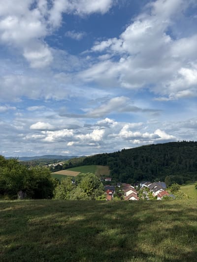 The image depicts a pastoral landscape with a small village nestled among rolling green hills and a dense forest. In the foreground, a grassy field slopes gently downwards, with patches of sunlight and shadow dappling the ground. To the left of the foreground, a small, weathered wooden structure, possibly a shed or a small hut, is partially obscured by lush green trees.
In the middle ground, a cluster of houses forms a village. The houses are characterized by red-tiled roofs and white or light-colored facades. Some of the houses have solar panels installed on their rooftops. The village is situated on a hillside, surrounded by trees and fields. A dirt road or pathway winds through the village.
The background features a vast, dark green forest that covers the crest of a hill. Beyond the forest, further rolling hills are visible, fading into the distance under a bright blue sky dotted with fluffy white clouds. The overall impression is one of rural tranquility and natural beauty. The scene is likely located in or around Birkenau, Germany, given the architectural style of the houses and the typical landscape of the region. There are no people or animals visible in the image.