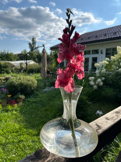 A close-up, eye-level shot shows a glass vase holding a stalk of pink gladiolus flowers. The vase is filled with water, with small bubbles visible, and is resting on a weathered wooden surface. Behind the vase, a lush green garden is in bloom, featuring various shrubs and flowers. In the background, a white house with a dark roof is visible, along with trees and a cloudy blue sky. To the right of the vase, a blurred soccer ball can be seen on the grass. The image appears to have been taken outdoors in the village of Romashkino, Russia, during daylight.