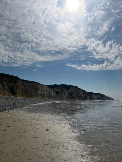 This is a landscape photograph taken at Hautot-sur-Mer, France, likely during the daytime under a partly cloudy sky. The image is oriented vertically.

The scene depicts a beach with a prominent cliff face on the left side. The cliff is a mix of earthy tones and is covered in lush green vegetation towards the top. Below the cliff, there's a strip of pebble beach that transitions into a wet sand area where the tide has recently receded. The wet sand reflects the sunlight and the sky, creating a shimmering effect. Further to the right, more dry sand is visible, marked with numerous footprints and some faint track marks, suggesting recent activity.

Several people are scattered across the beach. A few are visible near the waterline, and others are further up on the sand, appearing to be strolling or enjoying the seaside. There are no discernible objects in the foreground or midground, other than natural elements like pebbles and sand.

The sky on the left is a bright blue with dynamic, wispy white clouds. The sun is positioned in the upper left quadrant, casting a bright glow and illuminating the clouds. The overall atmosphere appears to be serene and pleasant, indicative of a summer day at the coast. There is no visible text in the image.