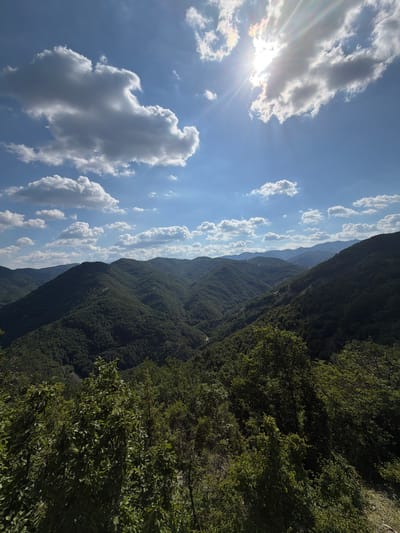 The image depicts a scenic vista of rolling, densely forested hills under a bright, sunny sky with scattered white clouds. The sun is prominently visible in the upper right quadrant, casting bright rays and creating lens flare. The foreground is dominated by the tops of green trees. The middle ground and background reveal layered mountain ranges covered in lush vegetation. The overall impression is a natural landscape, likely a mountain or hilly region. The image is a landscape photograph taken from an elevated viewpoint. There are no people, animals, or man-made structures visible in the image. The location is identified as Tri mogili, Bulgaria.