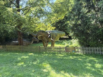 The image depicts an outdoor scene, likely in a park or an exhibit. In the foreground, a dinosaur statue, specifically a Deinonychus, is prominently displayed. The statue is a realistic replica, rendered in muted green and yellow tones, and appears to be posed dynamically. Behind the dinosaur, a weathered wooden fence separates the exhibit from a grassy area covered with dappled sunlight, suggesting it is daytime with clear skies. Lush green trees with dense foliage frame the scene, their leaves catching the bright sunlight.

To the left of the dinosaur statue and behind the fence, a small informational sign is visible. Although slightly obscured, the text "Deinonychus" is clearly legible, identifying the dinosaur. The sign also includes an illustration of the dinosaur. The overall impression is one of a sunny day in a naturalistic setting, designed for educational or recreational purposes. The image appears to have been taken in Tolk, Germany, based on the provided location context.