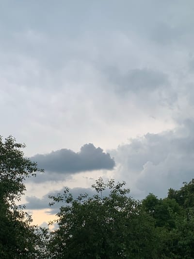 This is a daytime, vertical, medium-angle shot of a cloudy sky above the treetops in Орлеўскі сельскі Савет, Belarus. The sky is filled with an overcast of gray and white clouds, with patches of lighter sky visible through breaks. Darker, heavy clouds are present in the lower portion of the sky, particularly towards the center and right. A small, dark object, possibly a bird or an insect, is visible as a speck in the sky on the right side of the image. The tops of several lush green trees, dense with leaves, frame the bottom of the image and extend upwards into the frame from the left and right sides. The overall lighting suggests a muted, overcast day. No people are visible in the frame.