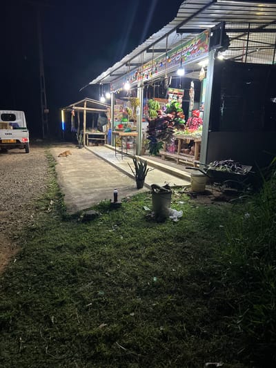 In Walasmulla, Sri Lanka, a nighttime scene unfolds at a roadside produce stall. The stall, illuminated by strings of colorful lights and a bright overhead lamp, displays a variety of fruits and vegetables, including bananas, eggplant, and leafy greens. A white Tata truck is parked on the left side of the image. A brown dog is sleeping on a concrete pathway in front of the stall. A wheelbarrow filled with eggplant is situated to the right of the stall. Two buckets, one containing refuse and the other appearing empty, are on the grass. The environment is dimly lit, with shadows cast by the stall's roof and surrounding vegetation.