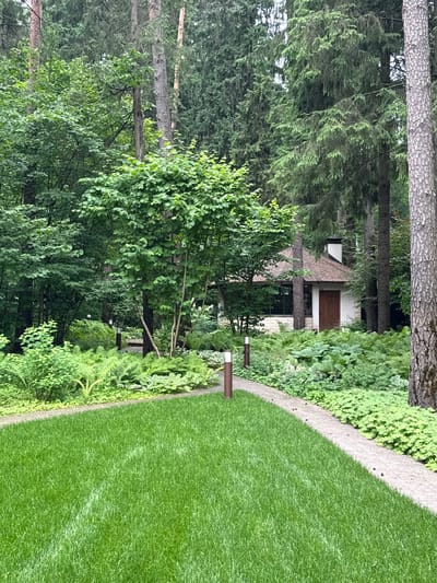 The image depicts a well-maintained garden landscape with a small building nestled amongst lush greenery. In the foreground, a vibrant green lawn stretches towards a meandering gravel pathway. Several short, cylindrical light posts are strategically placed along the path.

To the right of the pathway, a dense arrangement of ferns and other low-lying green plants creates a rich ground cover. Further back, taller trees, including pines and deciduous varieties, dominate the scene, creating a shaded and natural environment.

Visible through the trees, a small, single-story building with a brown roof and a white facade is partially obscured. It features a dark brown wooden door and a chimney. The building appears to be a dwelling or a guesthouse.

The overall impression is one of a serene, secluded garden, possibly a private residence or a retreat within a wooded area. The location is described as Сосны, Russia, suggesting a setting within or near a pine forest.