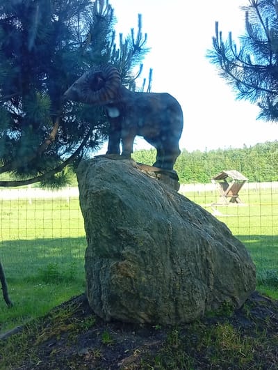 A dark-colored, sculpted ram figure, possibly made of wood or resin, stands atop a large, grey boulder. The ram is positioned to the left of the boulder, facing left with its head lowered and prominent curved horns. The boulder is situated on a patch of dark soil with sparse grass. In the background, a green grassy field is visible, separated by a wire fence. Beyond the field, a line of trees forms a treeline against a bright, overcast sky. A wooden structure, resembling a feeder or shelter, is also visible in the field to the right of the ram sculpture. The scene is outdoors, likely in a park or rural setting. The location is specified as Micaičiai, Lithuania.