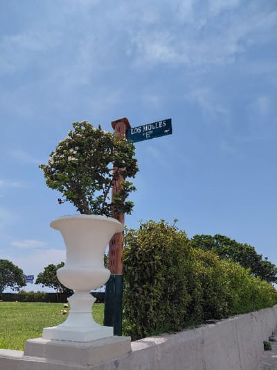 A white urn sits atop a concrete structure next to a green lawn. A street sign reading "LOS MOLLES 'H' 501" is mounted on a wooden pole, partially obscured by foliage. The sky is blue with scattered clouds. Bushes and trees line the sidewalk beside the lawn.