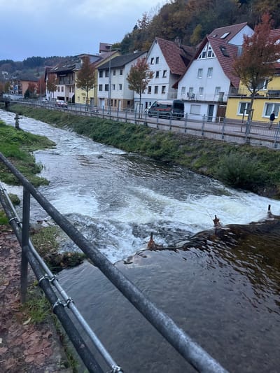 The image displays a detailed view of a section of the Rench river flowing through a residential area in Oppenau, Germany, under an overcast sky. In the immediate foreground, a weathered dark gray metal railing runs diagonally across the lower left quadrant, partially obscuring a muddy bank with scattered brown autumn leaves.

The river occupies the central and mid-ground, with water flowing from the background towards the viewer. Approximately midway across the visible river length, a low-lying, dark-colored weir or dam structure spans the river's width. Water cascades over this structure, creating a significant area of white rapids and foam, particularly prominent towards the right side. Several dark, irregular, pointed objects, possibly remnants of old posts or rebar, protrude vertically from the top edge of the weir. The riverbanks are vegetated with green grass and low shrubs. On the left bank, closer to the foreground, a small, dark stone pillar-like object stands near the water's edge.

Beyond the river, on the opposite bank, a paved road runs parallel to the waterway, secured by a gray metal barrier. A series of multi-story residential buildings line this road, featuring pitched roofs (some red, some dark gray), dormer windows, and facades painted in white, yellow, beige, and light brown. Trees with autumnal foliage (orange, brown, and some green) are interspersed between the buildings. Several vehicles are parked along the road, including a dark gray van with red striping. Streetlights are visible along the roadside. On the far right, a single individual dressed in dark attire walks on the sidewalk, moving away from the viewer. Behind the residential structures, a densely forested hillside, characterized by trees displaying autumn colors of brown and dark green, rises steeply under a uniform light gray sky.