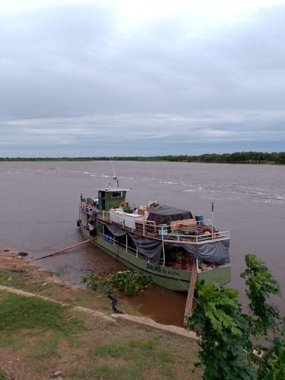 A working cargo boat, named "DALMA" with registration "MAT N° 2394-L", is docked alongside the muddy bank of a wide, brown river under an overcast, grey sky in Concepción, Paraguay. The boat, painted olive green, is laden with various goods, some covered by dark tarpaulins, and appears to be in the process of loading or unloading. Two individuals are visible on the deck near the boat's small cabin, one stooping and the other standing, suggesting activity. A simple wooden plank serves as a gangplank connecting the vessel to the shore.

The river's water shows signs of current with white foamy patches. The opposite bank features a dense line of green trees, contrasting with the sparse, grassy, and dirt-covered near bank. In the foreground, green foliage partially obscures the view of the water's edge, where some aquatic plants are visible. The overall setting depicts a typical scene of river transport on a cloudy day, emphasizing the practical function of the boat within this South American riparian environment.