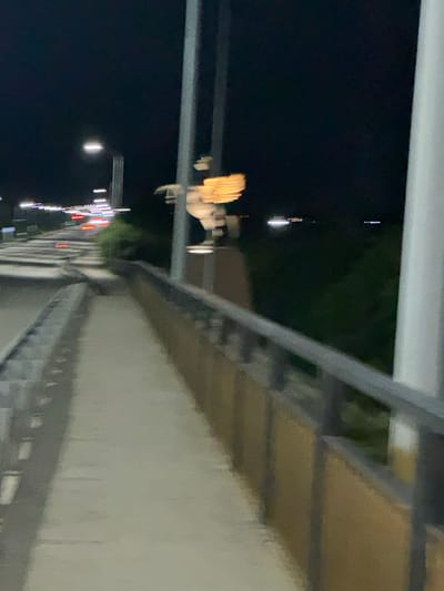 The image captures a nighttime scene on a pedestrian walkway alongside a road. The walkway is paved with concrete and bordered by a railing with vertical slats and a horizontal bar. To the left of the walkway, the road is visible, with streaks of light indicating moving vehicles, some with red taillights. Across the road, there is a dark, vegetated area. In the background, distant lights can be seen, suggesting the presence of buildings or other urban elements. A lamppost with a bright light is positioned on the left side of the walkway. On the right side of the walkway, further in the background, a sculpture or monument is partially visible, appearing illuminated with a warm, golden light. The overall image is slightly blurred, indicating movement or low light conditions. The location is identified as Zarechny Rural District, Kazakhstan.