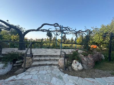 The image displays an outdoor scene in the city of Tsinandali, Georgia, under a clear blue sky. In the foreground, a path composed of irregularly shaped light grey flagstones leads to a three-step ascent constructed of identical material. Large, light-colored boulders flank the steps, interspersed with dry grass and low-lying green vegetation, including small red flowering plants and a single pink rose bloom visible on the right. A low, stacked reddish-brown brick wall is partially visible to the right of the steps.

The steps culminate at a raised, flagstone-paved platform. Above this platform, a pergola structure features thick, gnarled dark brown branches, characteristic of grapevines, supported by thin blue metal posts. Green foliage and small clusters of grapes are suspended from this overhead canopy. A large, gnarled tree trunk on the far left is integrated into or acts as a support for the pergola.

Beyond the platform, a dark horizontal railing delineates the edge of a vineyard, visible as rows of green plants extending across the mid-distance. The background consists of dense green trees beneath a cloudless blue sky. On the far right, partially obscured by foliage, are several large, bright orange spherical objects. A wooden post near the right edge of the frame supports a decorative wooden structure resembling a birdhouse or lantern. No individuals are present in the scene.